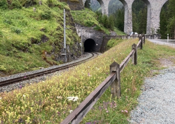 Ursprungszustand Touatunnel-Ursprungszustand